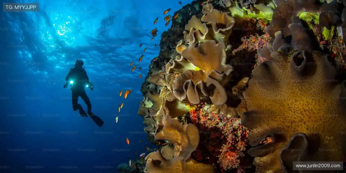 沸腾吧！🏀🏆 体育赛事，点燃你的无限可能！